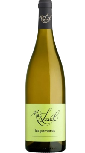 [101763] MAS LAVAL LES PAMPRES BLANC