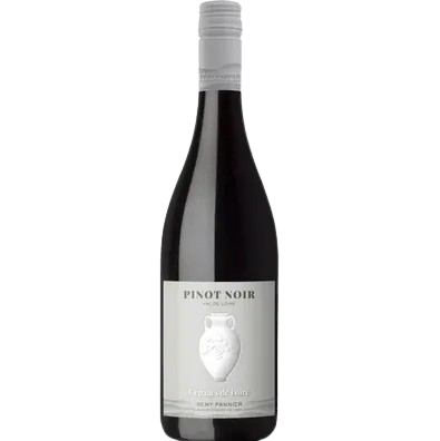 [102040] PINOT NOIR REMY PANNIER
